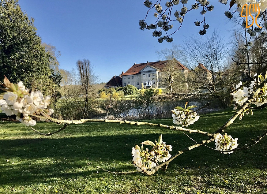 Skjoldenaesholm Konferencecenter Udenfor