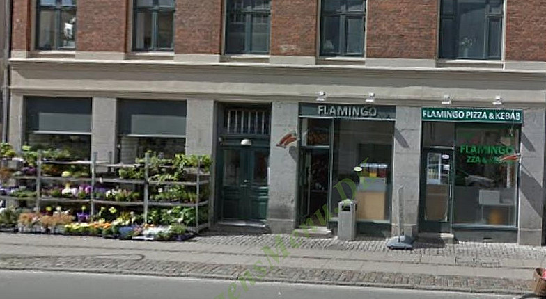 Flamingo Udenfor