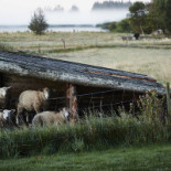 Henne Kirkeby Kro Udenfor
