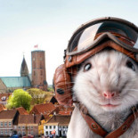 Byferie Ribe Drik