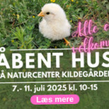Udsigten Logo