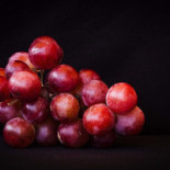Malbeck Wine Valby Drik