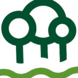 No 19 Logo
