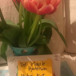 Det Mobile Hjerterum Drik