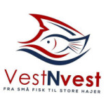 The Original Pita Logo