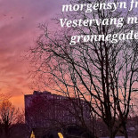 Folkehuset Vestervang Udenfor