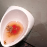 Die Bierbar Drik