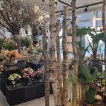 Hasle Blomster Og Kaffebar Inde