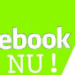 På Den Lime Logo