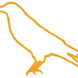 Intelligentsia Logo