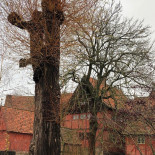 Ølkælderen I Den Gamle By Udenfor