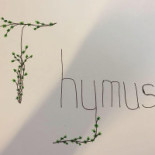 Thymus Drik