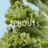 Sprouts Drik