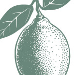 Lemon Co. Drik