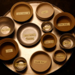 Thali Drik