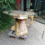 Biologisk Fredagsbar Udenfor
