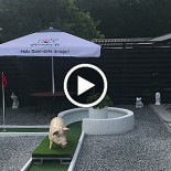 Lyngens Cafe Og Minigolf Udenfor
