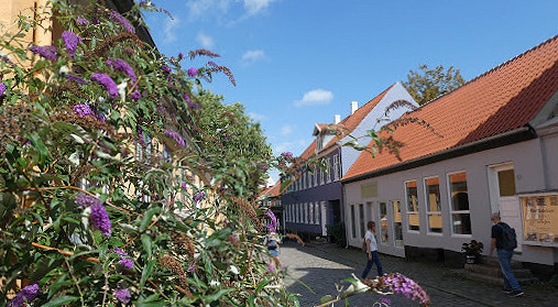 Vigen Udenfor