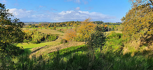 Skovtrolden Udenfor