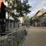 Gylden Stegt Kylling Udenfor