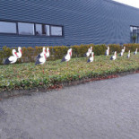 Herrup Kulturhus Udenfor