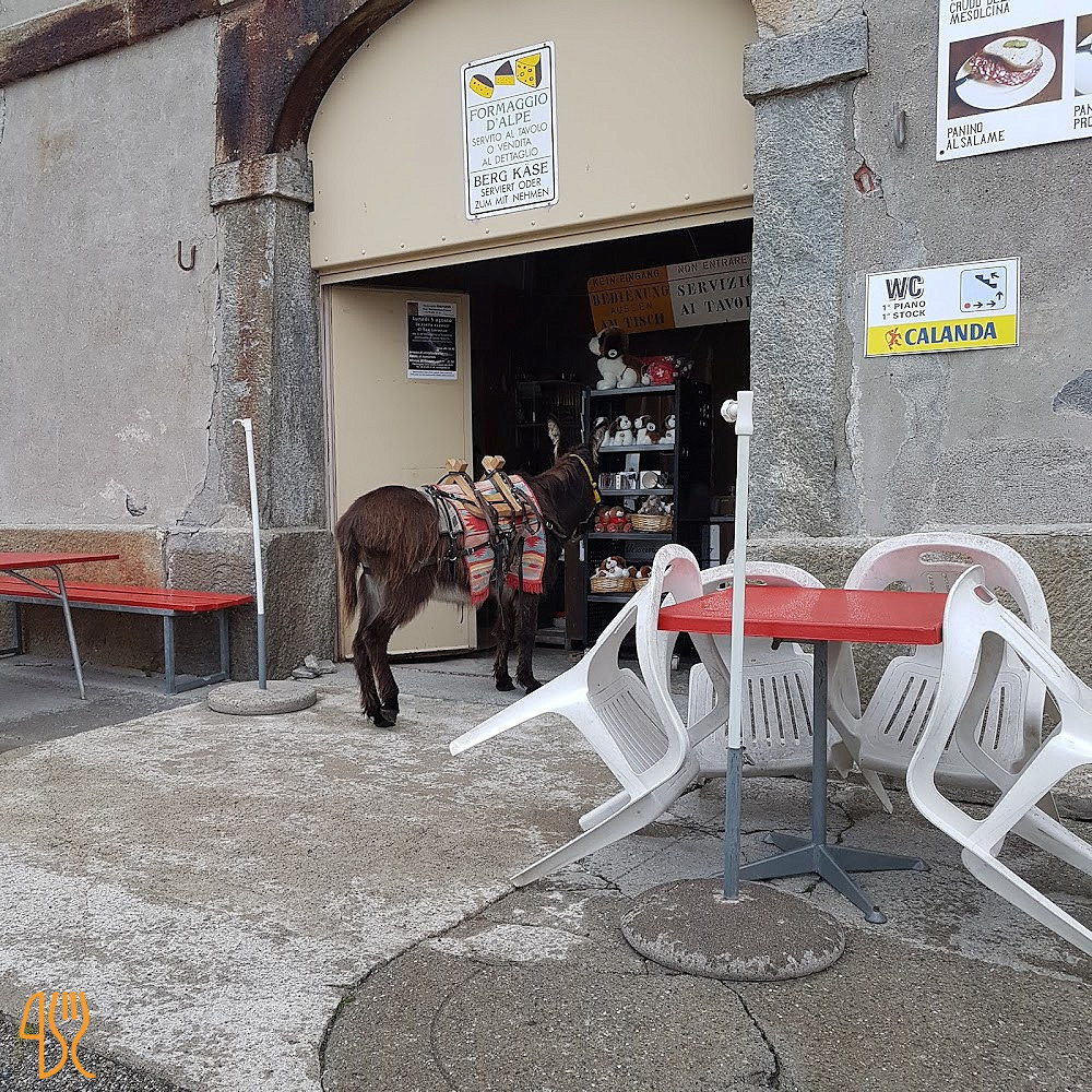Familierestaurant Vigsoe Udenfor