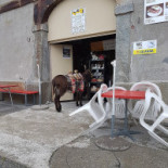 Familierestaurant Vigsoe Udenfor