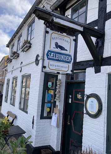 Saelhunden Udenfor