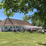 Edderfuglen Udenfor