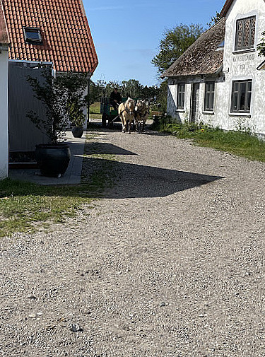 Krogbaekgaard Laesoe Udenfor