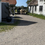 Krogbaekgaard Laesoe Udenfor