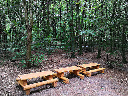 Skovpavillonen Udenfor
