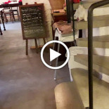 Amager Pizza Palace Inde
