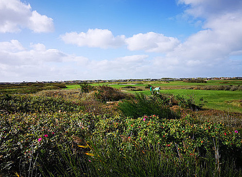 Holmsland Klit Golf Udenfor