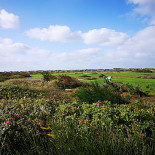 Holmsland Klit Golf Udenfor