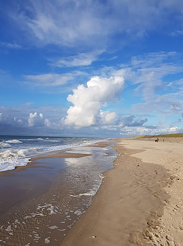 Holmsland Klit Golf Udenfor