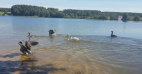 Kongelundskroen Udenfor