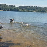 Kongelundskroen Udenfor