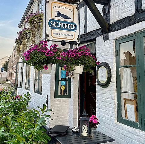 Saelhunden Udenfor