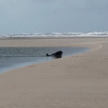 Henne Moelle Aa Badehotel Udenfor