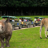 Ree Park Ebeltoft Safari Udenfor