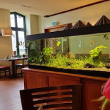 Lido Cafeen Inde