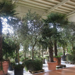 Hotellyngekro Udenfor