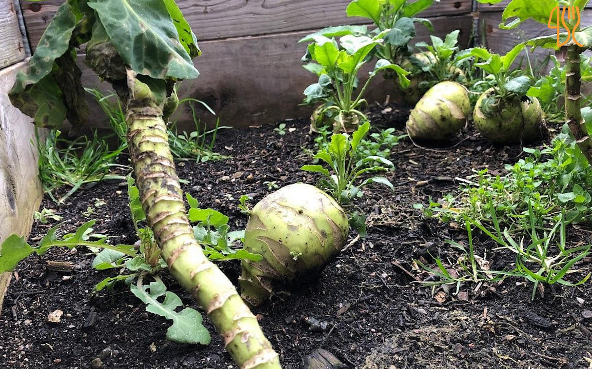 Alfred Kamilla Udenfor