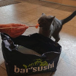 'sushi Dalum Drik