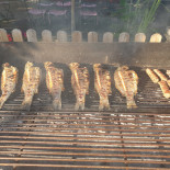 Del Mare Drik