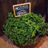 Rar Drik