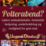 Ungarsk Vinstue Logo