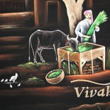 Vivah Drik