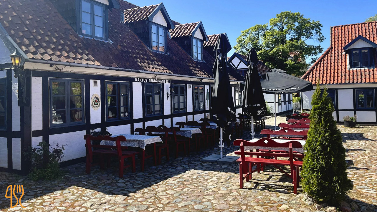 Kaktus Iii Udenfor